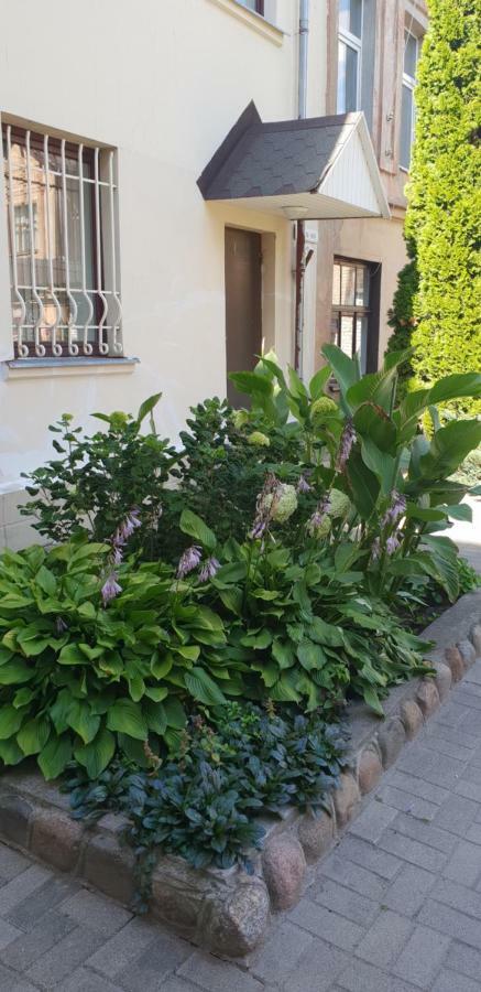 Apartament Saule Dyneburg Zewnętrze zdjęcie